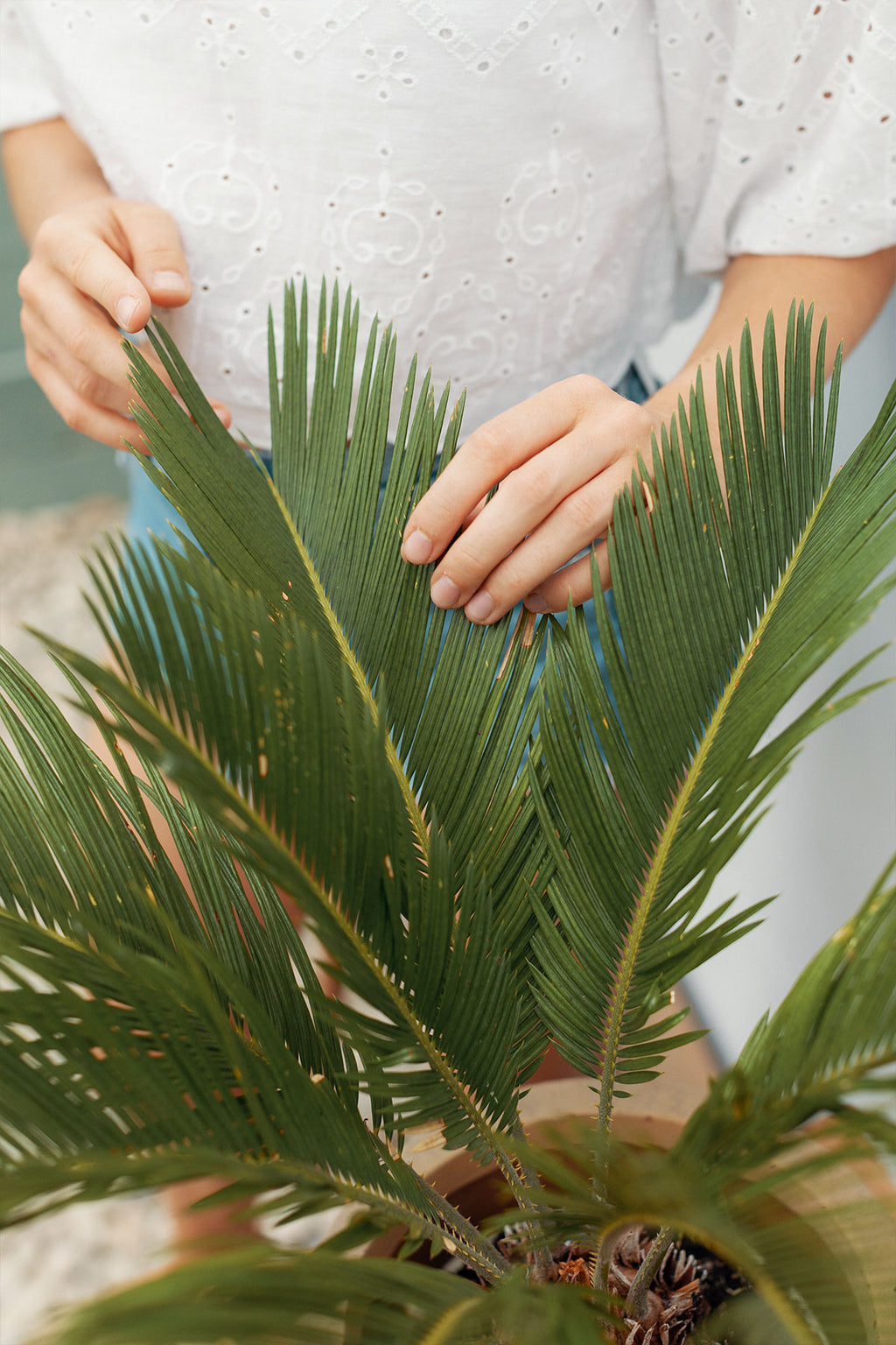 Palmera artificial en maceta alt. 40 Palm